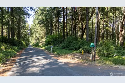 8819 Eckenstam Johnson Road, Anderson Island, WA 98303 - Photo 3