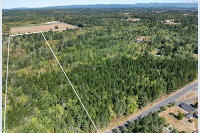 137 Jenny Kay Lane, Ethel, WA 98542 - Photo 7