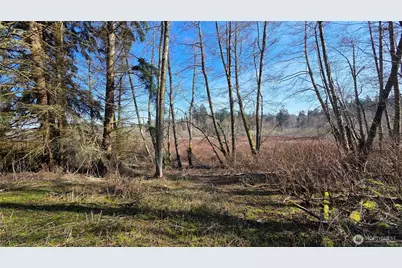 5707 Woodard Avenue, Freeland, WA 98249 - Photo 7