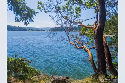 757 Ferry Road, Lopez Island, WA 98261 - Photo 19