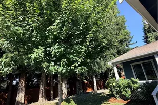 431 Oak Hill Ln, Burlington, WA 98233 - Photo 3