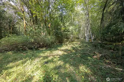 0 Ambridge Road, Sumas, WA 98295 - Photo 7