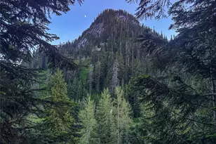 17800 Alpental Access Road SE, North Bend, WA 98045 - Photo 7