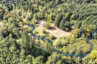 1010 SE Binns Swiger Loop Rd, Shelton, WA 98584 - Photo 39