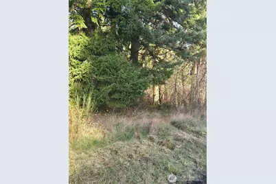 0 Clinton Road, Chehalis, WA 98532 - Photo 7