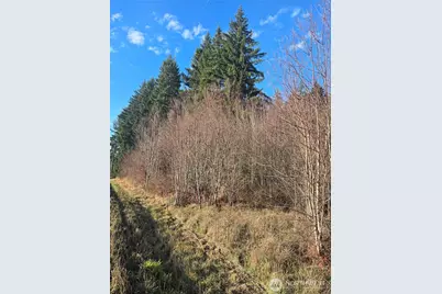 0 Clinton Road, Chehalis, WA 98532 - Photo 5