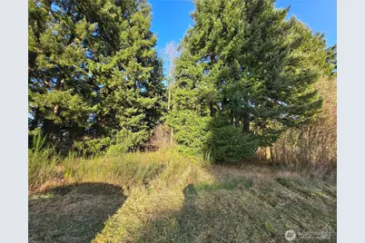 0 Clinton Road, Chehalis, WA 98532 - Photo 1
