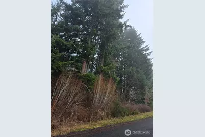0 Clinton Road, Chehalis, WA 98532 - Photo 3