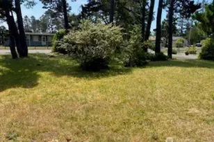 27008 Ridge Ave, Ocean Park, WA 98640 - Photo 1
