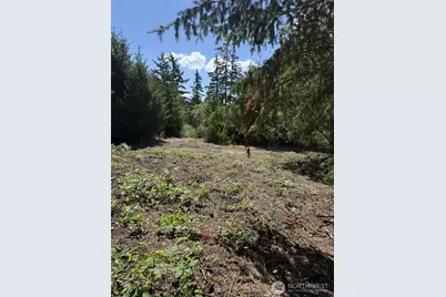 18703 Sr 302, Gig Harbor, WA 98329 - Photo 3