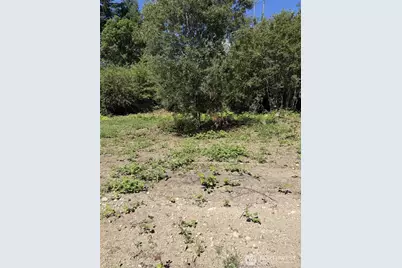 18703 Sr 302, Gig Harbor, WA 98329 - Photo 17