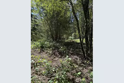 18703 Sr 302, Gig Harbor, WA 98329 - Photo 5