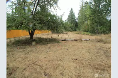 8318 Skookumchuck Road SE, Tenino, WA 98589 - Photo 9