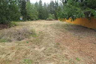 8318 Skookumchuck Rd SE, Tenino, WA 98589 - Photo 1