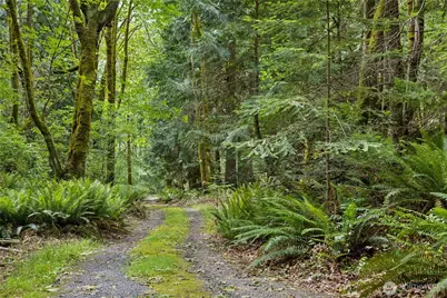 0 K-Tract 9 McDonald Road, Quilcene, WA 98376 - Photo 27