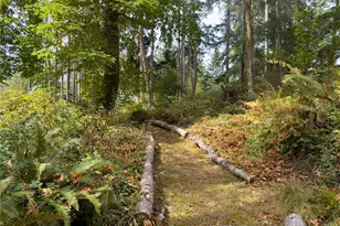 2197 Parker Rd, Camano Island, WA 98282 - Photo 3