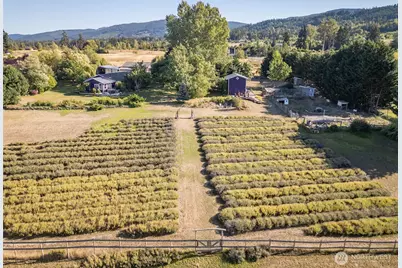 330 Bell Bottom Road, Sequim, WA 98382 - Photo 1