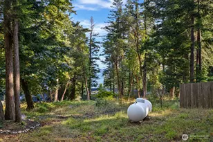 72 Grove St, Orcas Island, WA 98245 - Photo 37