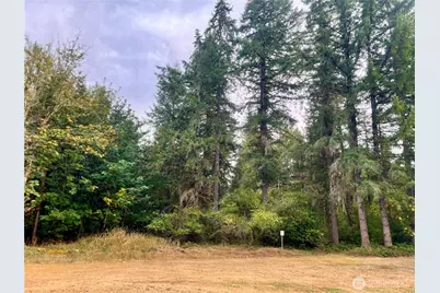 10324 Delphi Road SW #29, Olympia, WA 98512 - Photo 33