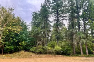 10324 Delphi Road SW, Olympia, WA 98512 - Photo 33