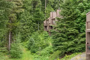 10500 Mt Baker Hwy, Glacier, WA 98244 - Photo 27