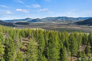 3142 Bren Holly Wy, Valley, WA 99181 - Photo 19