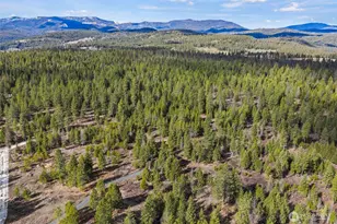 3142 Bren Holly Wy, Valley, WA 99181 - Photo 15