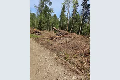 0 Kelly Road, Bellingham, WA 98226 - Photo 3