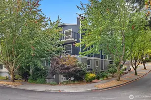 11223 Corliss Ave N, Seattle, WA 98133 - Photo 17