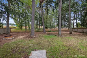 19111 11th Ave Ct E, Spanaway, WA 98387 - Photo 21