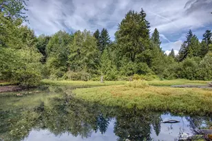 17323 26th Ave SE, Bothell, WA 98012 - Photo 33