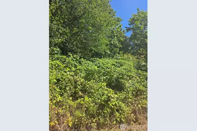 250 X Callow Road, Lake Stevens, WA 98258 - Photo 3