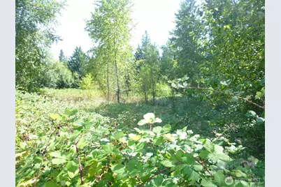 0 Larch Way, Lynnwood, WA 98036 - Photo 9