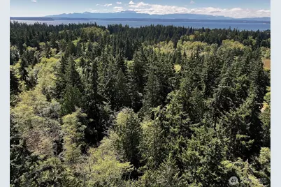 2 Scenic Avenue, Freeland, WA 98249 - Photo 13