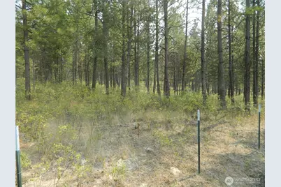 96 Horn Ranch Road, Tonasket, WA 98855 - Photo 27