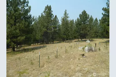 96 Horn Ranch Road, Tonasket, WA 98855 - Photo 31
