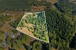 254 Williams Creek Rd, Oakville, WA 98568 - Photo 5