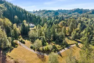 254 Williams Creek Rd, Oakville, WA 98568 - Photo 9