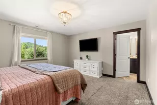 254 Williams Creek Rd, Oakville, WA 98568 - Photo 23
