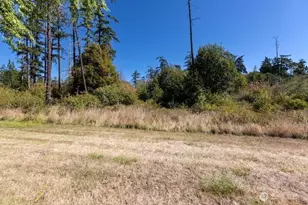 1785 Douglas Rd, Friday Harbor, WA 98250 - Photo 7