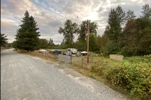 12519 288th St E, Graham, WA 98338 - Photo 37