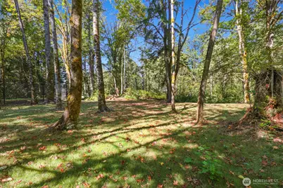 19024 140th Avenue SE, Renton, WA 98058 - Photo 39