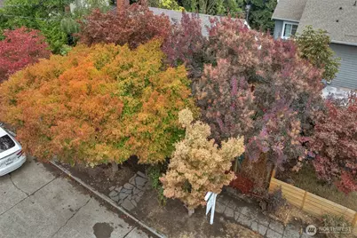 8 W Fulton Street, Seattle, WA 98119 - Photo 25