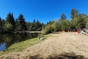101 Mountain View Dr N, Ashford, WA 98304 - Photo 37