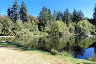 101 Mountain View Dr N, Ashford, WA 98304 - Photo 39