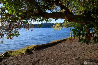 35753001 E Lake Sammamish Parkway, Sammamish, WA 98074 - Photo 13