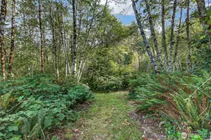 381 Studebaker Spur 2, Castle Rock, WA 98611 - Photo 33