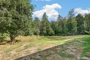 381 Studebaker Spur 2, Castle Rock, WA 98611 - Photo 31