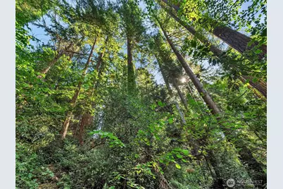 7414 Soundview Drive, Edmonds, WA 98026 - Photo 17