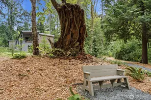9720 NE Lofgren Rd, Bainbridge Island, WA 98110 - Photo 29